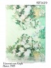 Roses Oil Painting Fashion Scarf